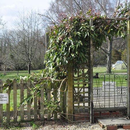 Little Tidebrook Farm Bed and Breakfast Wadhurst Exteriör bild