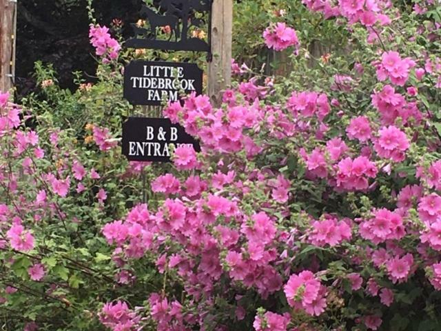 Little Tidebrook Farm Bed and Breakfast Wadhurst Exteriör bild